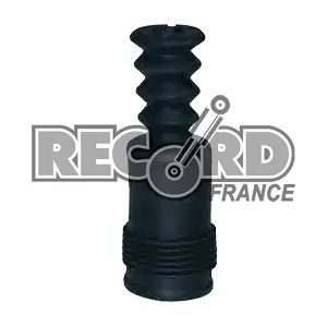 925115 RECORD FRANCE
