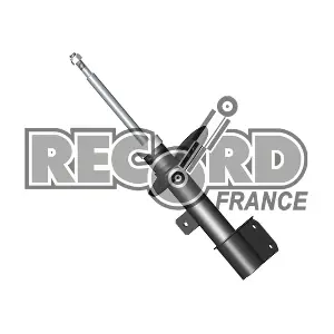 RECORD FRANCE 104709