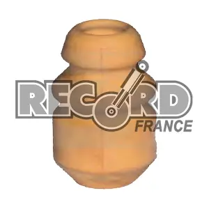 923122 RECORD FRANCE