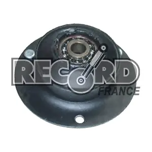 924915 RECORD FRANCE