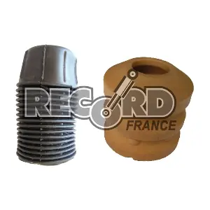 925811 RECORD FRANCE
