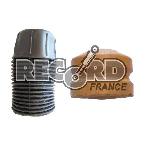 925812 RECORD FRANCE