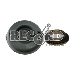 RECORD FRANCE 926029