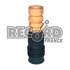925133 RECORD FRANCE