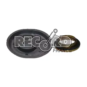 926095 RECORD FRANCE