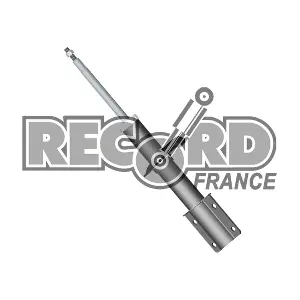 RECORD FRANCE 104152