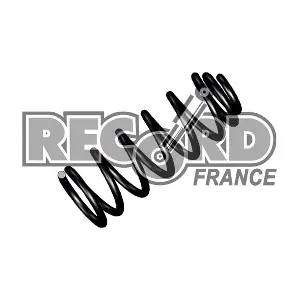 933209 RECORD FRANCE