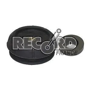 925881 RECORD FRANCE