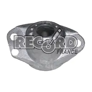 924070 RECORD FRANCE
