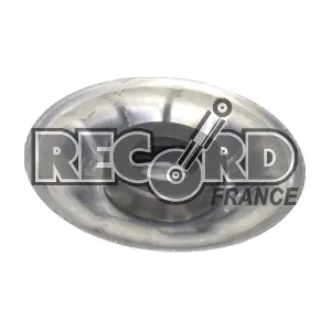 924891 RECORD FRANCE