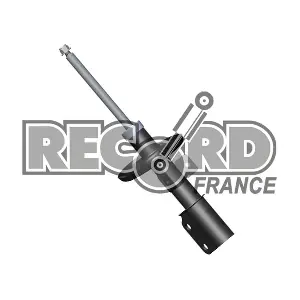 104990 RECORD FRANCE