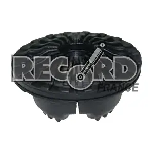 926018 RECORD FRANCE