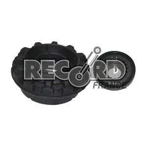 925963 RECORD FRANCE
