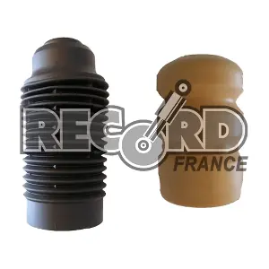 925712 RECORD FRANCE