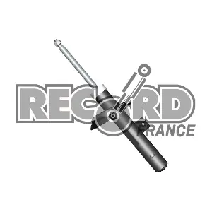 RECORD FRANCE 334180