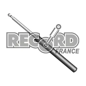 103629 RECORD FRANCE