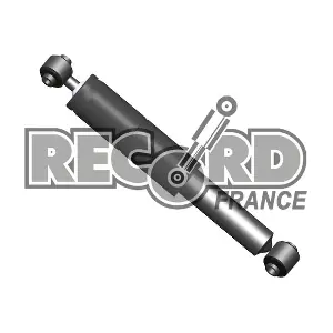 RECORD FRANCE 33 4516