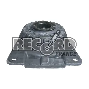 924760 RECORD FRANCE