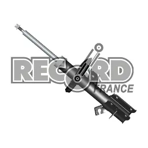 214711 RECORD FRANCE