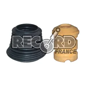 925913 RECORD FRANCE