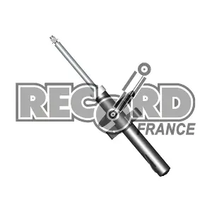 104588 RECORD FRANCE