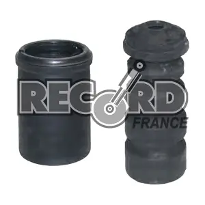 925910 RECORD FRANCE