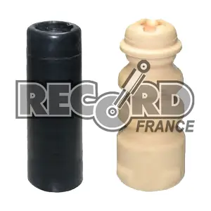 925991 RECORD FRANCE