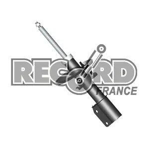 104741 RECORD FRANCE