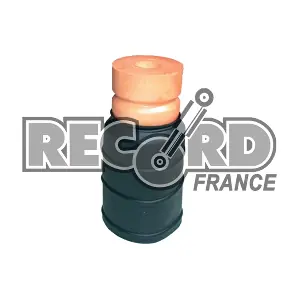 926107 RECORD FRANCE