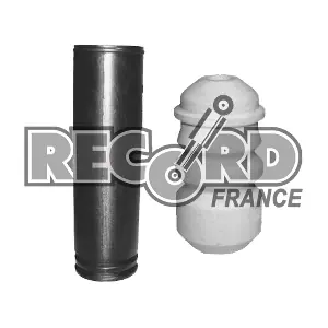 RECORD FRANCE 926061