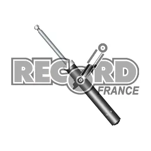 RECORD FRANCE 103919