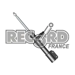 334778 RECORD FRANCE