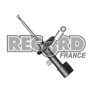104718 RECORD FRANCE