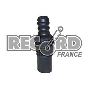 926101 RECORD FRANCE