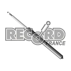 103913 RECORD FRANCE