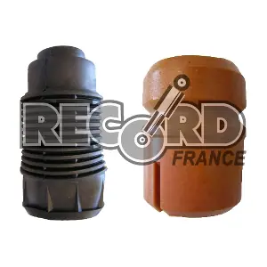 925813 RECORD FRANCE