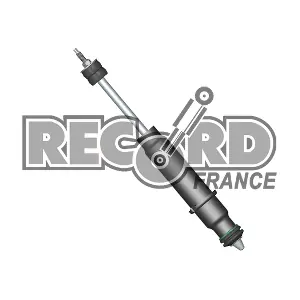 334000 RECORD FRANCE