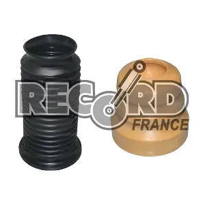 926020 RECORD FRANCE