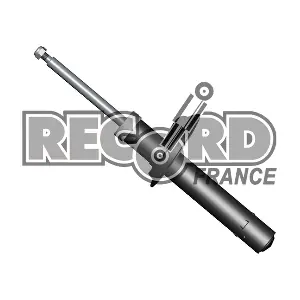 103942 RECORD FRANCE