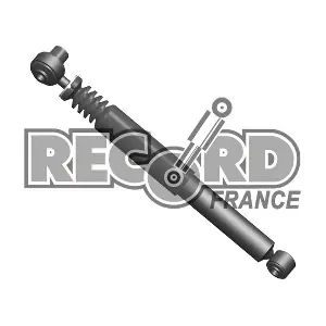 004189 RECORD FRANCE