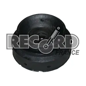 924943 RECORD FRANCE