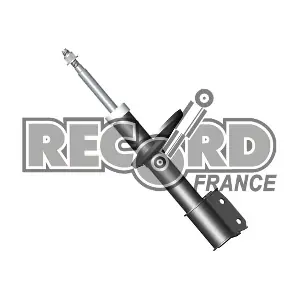 RECORD FRANCE 334557