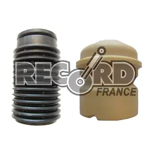 925791 RECORD FRANCE