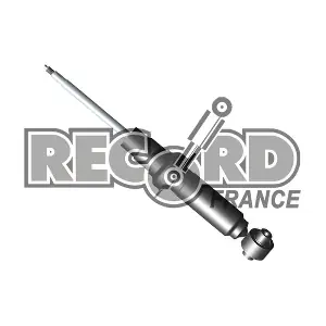 RECORD FRANCE 104569