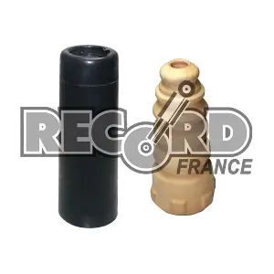 926116 RECORD FRANCE