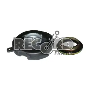 925213 RECORD FRANCE