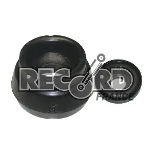 925964 RECORD FRANCE