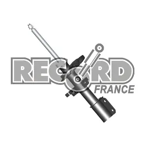 335027 RECORD FRANCE