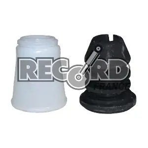 925911 RECORD FRANCE