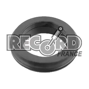 926015 RECORD FRANCE